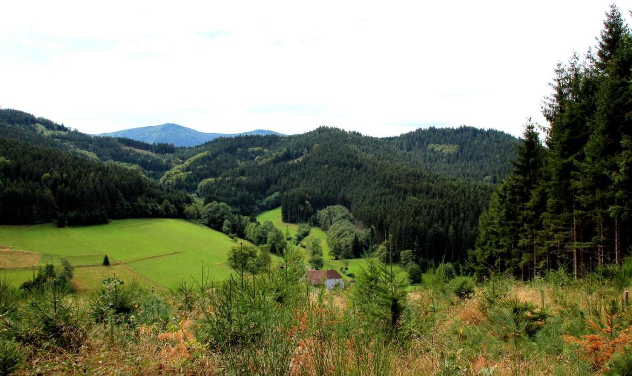 Дом в черном лесу!Gemütliches Haus im Herzen des Schwarzwaldes Эльцах Экстерьер фото
