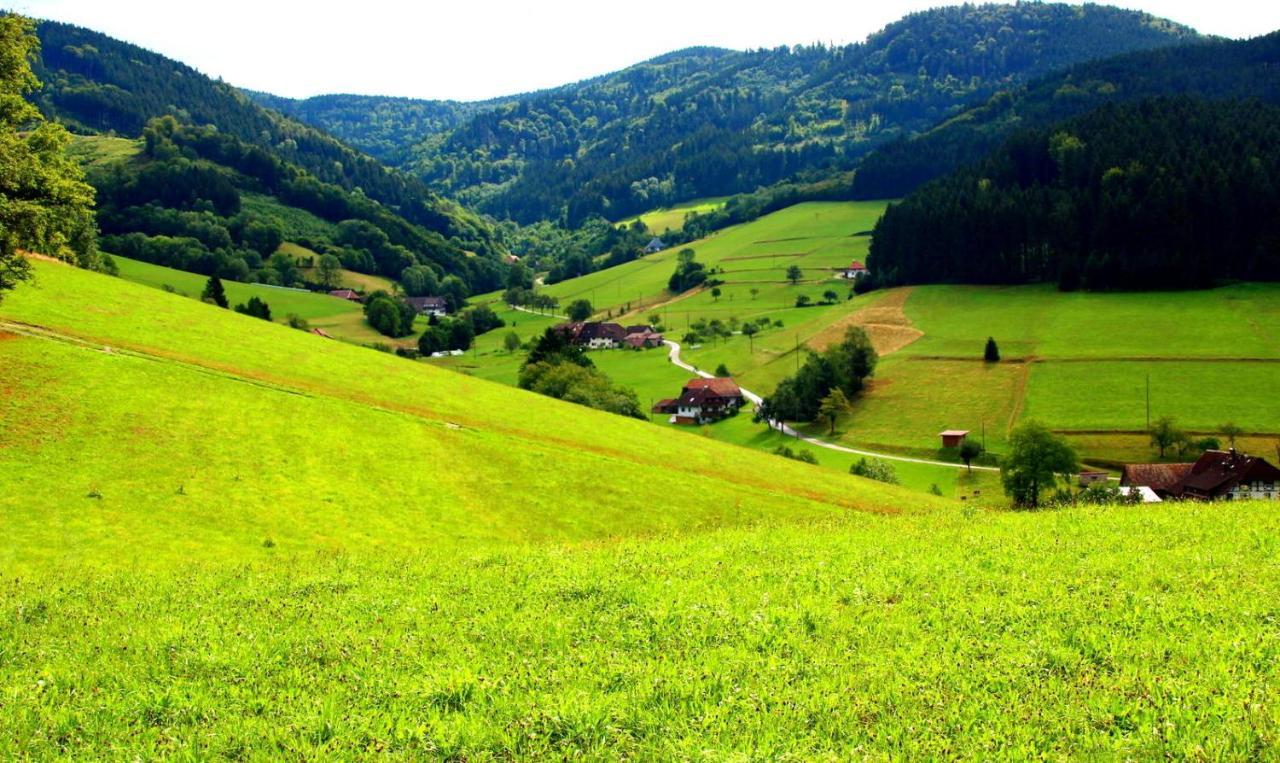 Дом в черном лесу!Gemütliches Haus im Herzen des Schwarzwaldes Эльцах Экстерьер фото