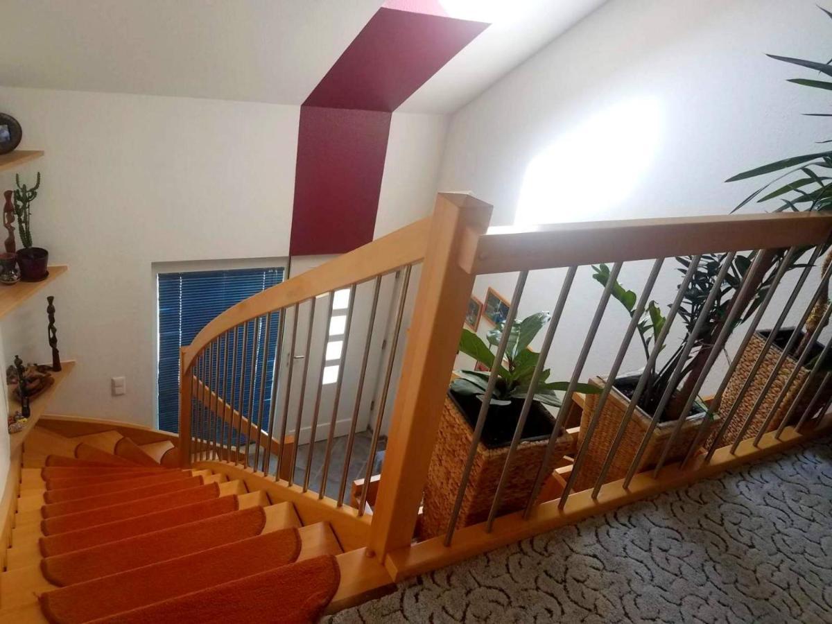 Дом в черном лесу!Gemütliches Haus im Herzen des Schwarzwaldes Эльцах Экстерьер фото