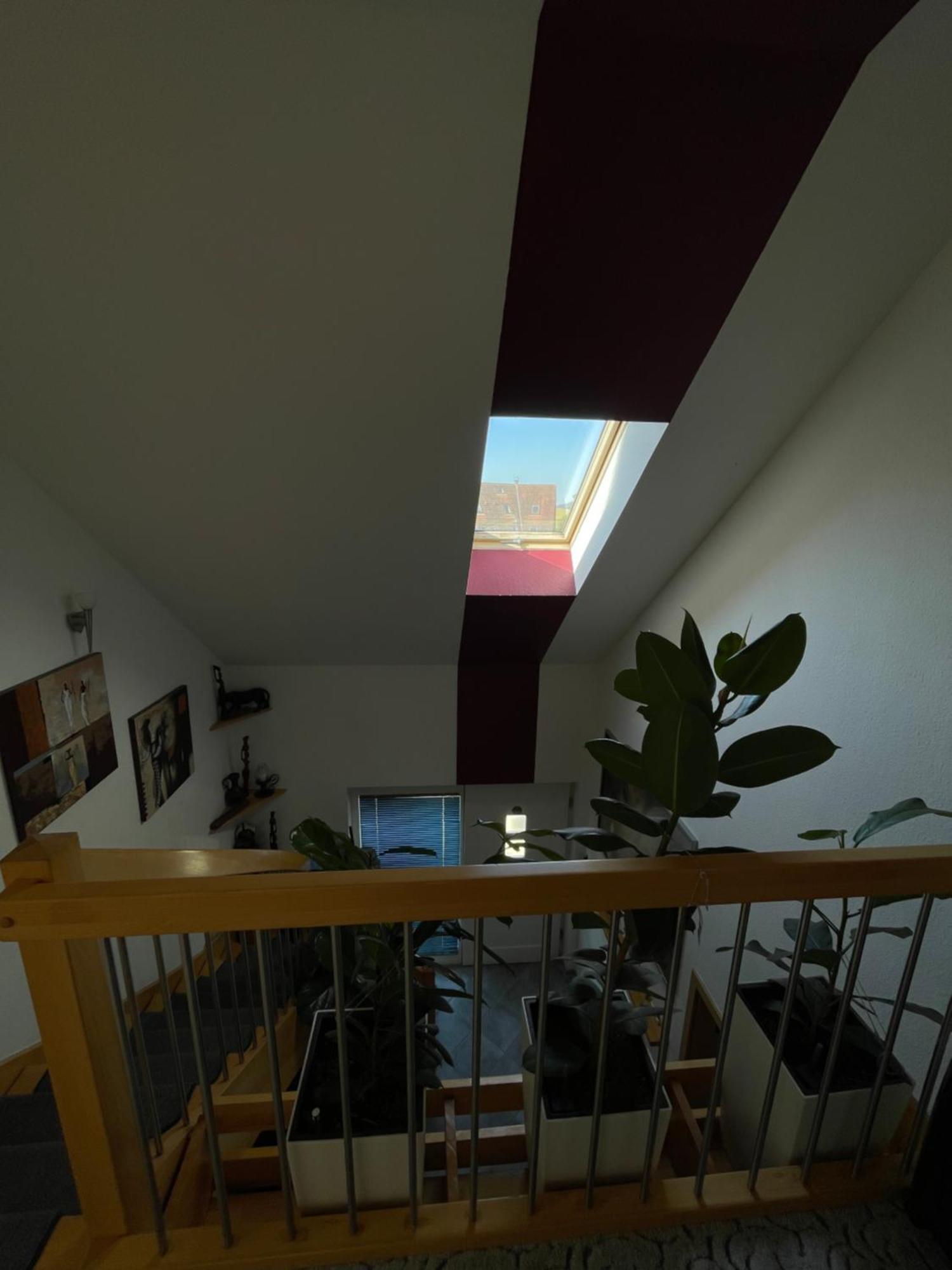 Дом в черном лесу!Gemütliches Haus im Herzen des Schwarzwaldes Эльцах Экстерьер фото